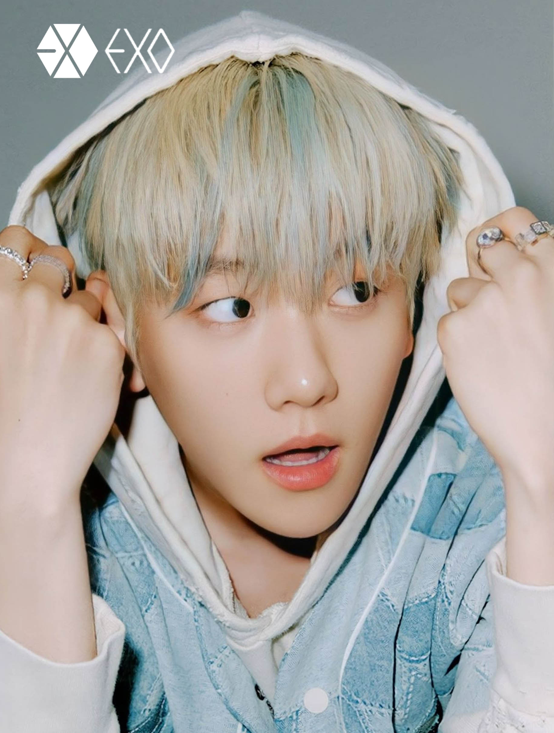 EXO RETRATO BAEKHYUN