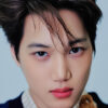 EXO RETRATO KAI