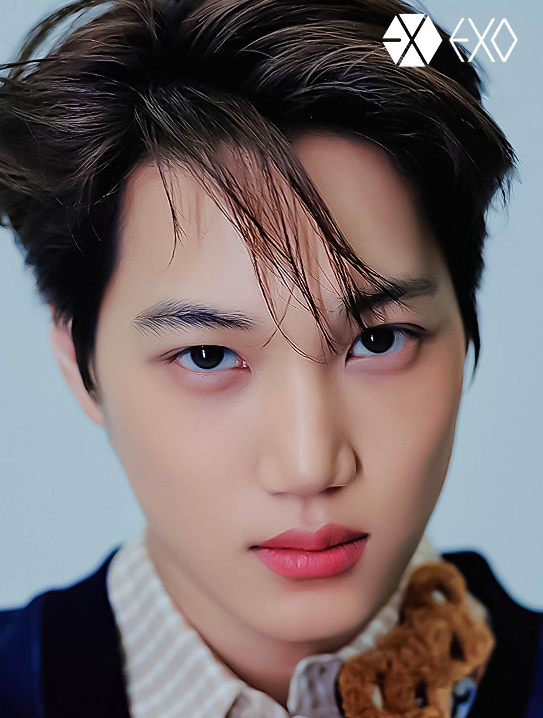 EXO RETRATO KAI