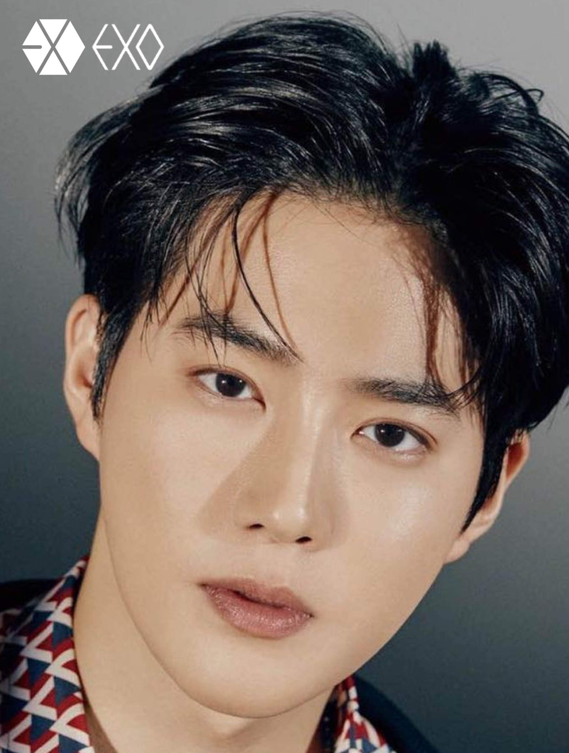 EXO RETRATO SUHO