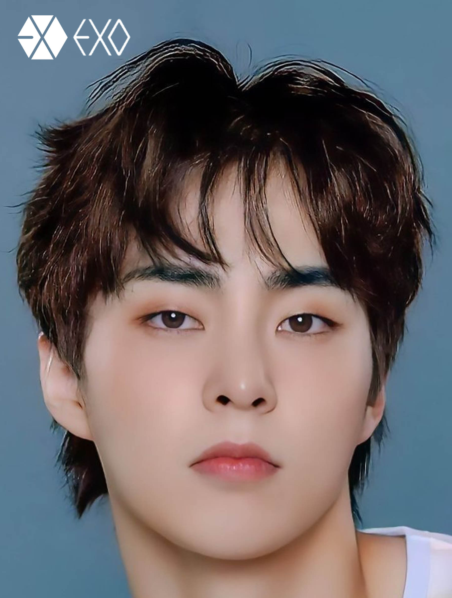 EXO RETRATO XIU MIN